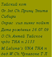 Подпись: Тайский котGr.Int.Ch.Принц Элита СибириОкрас :сил линкс пойнтДата рождения 26.07.09О.Ch.Антей Тайское чудо THA n.2133М.Laluna’s UNA THA n     дед.W.Ch.Чулалоке Т Л